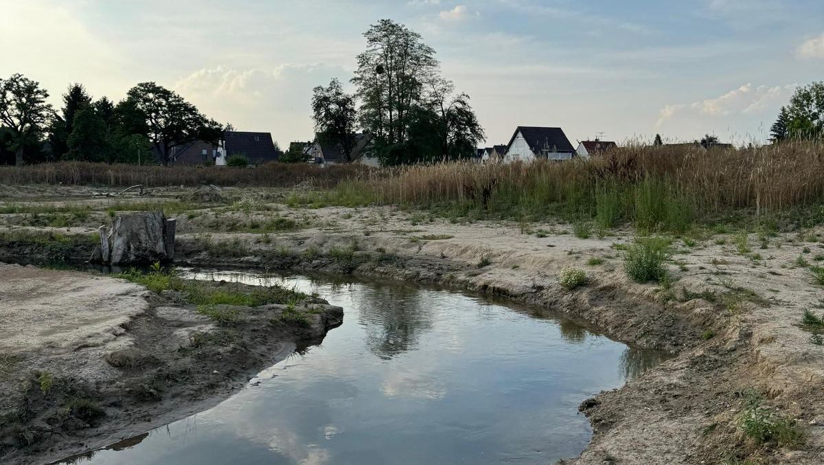 Fotos Flussgeschichten 2025 Teil 2