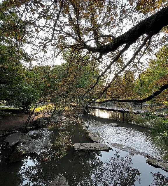 Fotos Flussgeschichten 2025 Teil 5