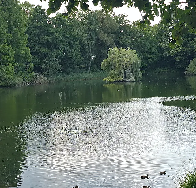 Flussgeschichten 2025 Teil 3